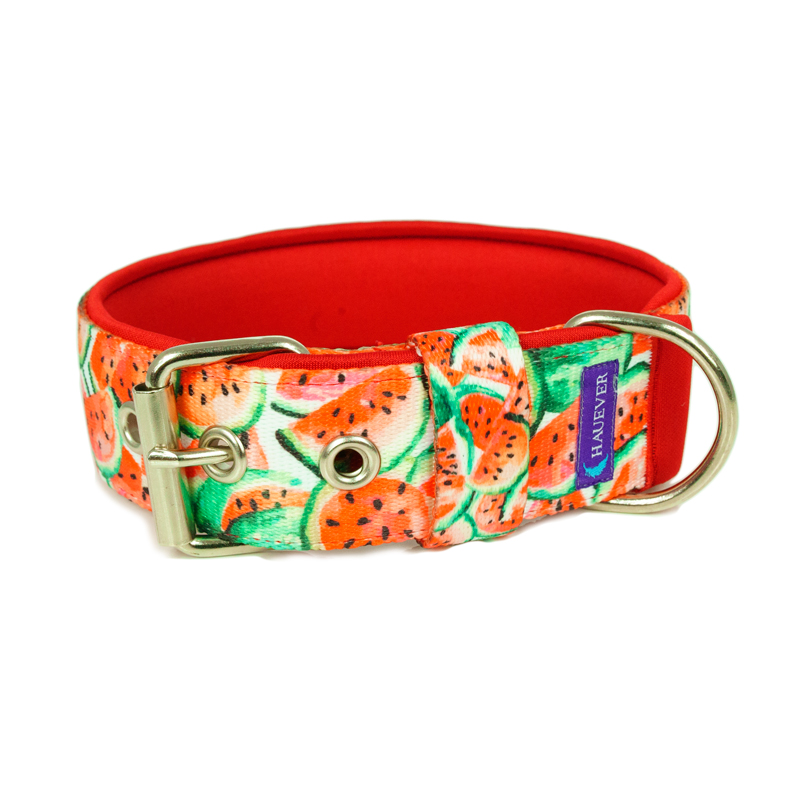 Obroża ze sprzączką Arbuzy - 35 mm - 30-40 cm - Srebrny nikiel