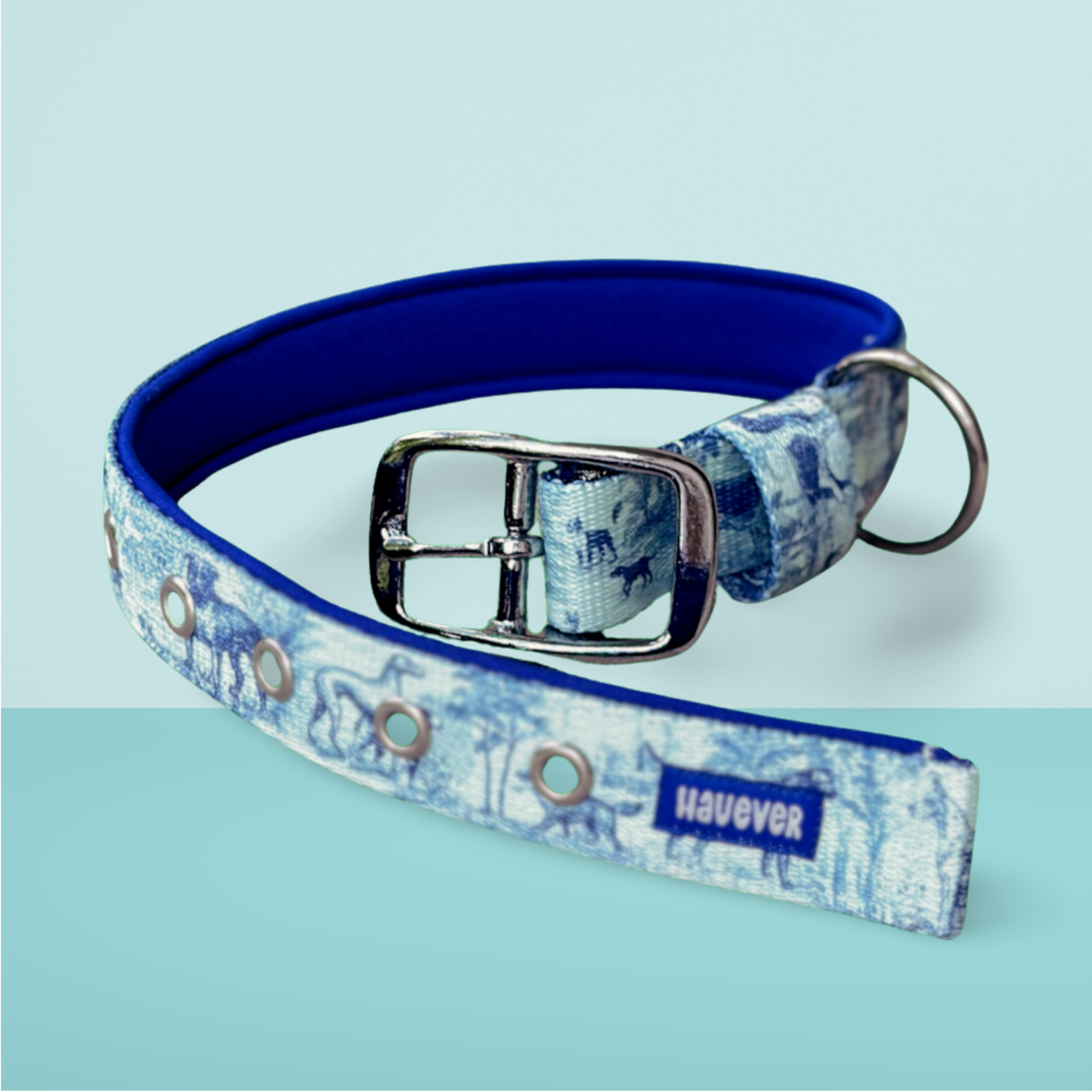 Obroża ze sprzączką Bążur - 25 mm - 35-45 cm - Srebrny nikiel